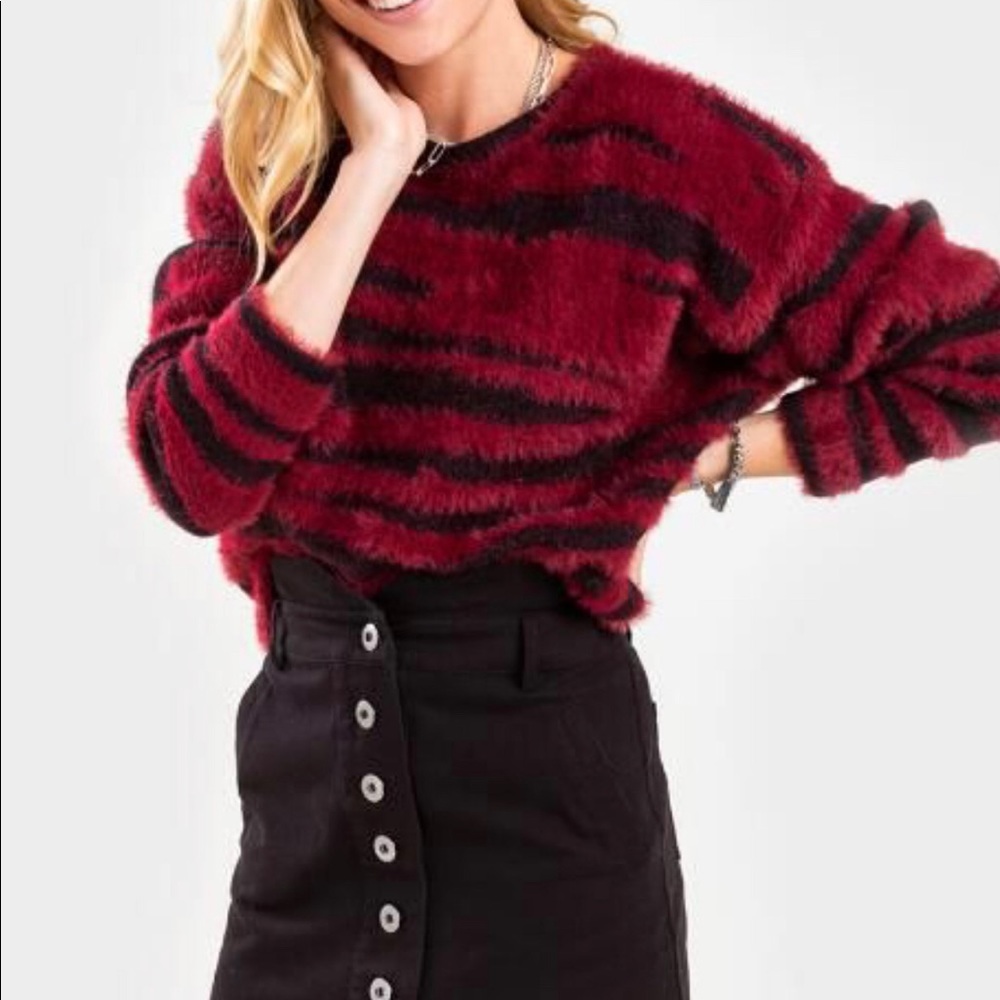 Francesca’s  Ann Marie Zebra Pullover Sweater